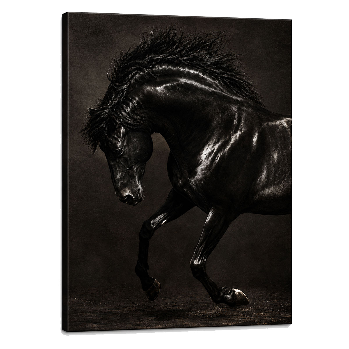 Cadre en toile cheval noir �l�gant 40 x 50 cm