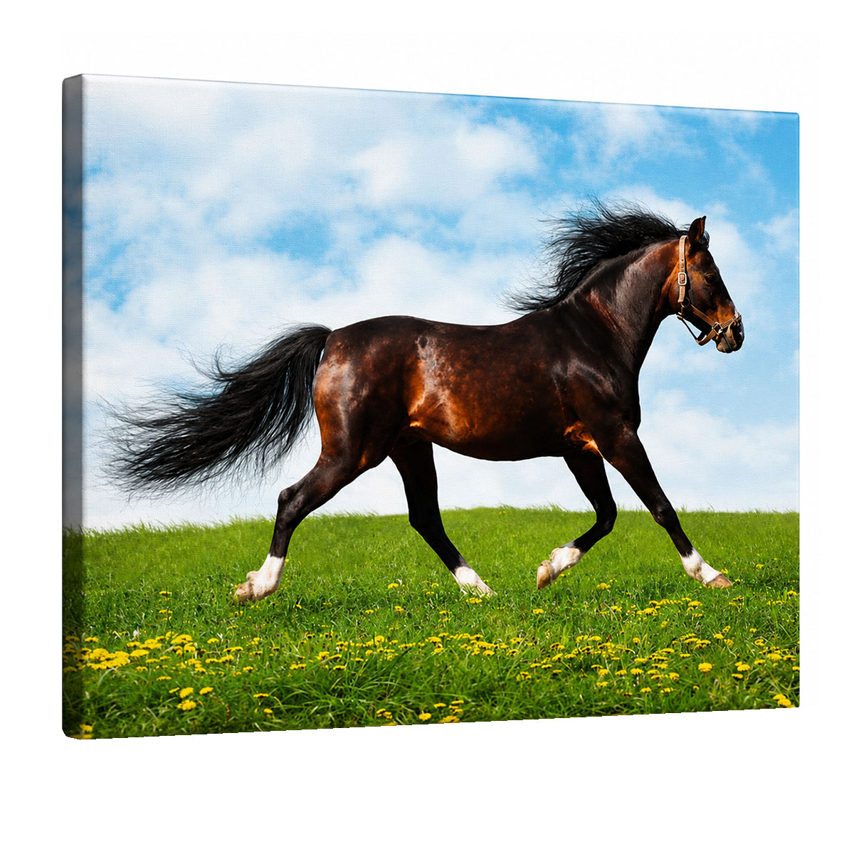 Cadre en toile cheval au galop prairie 30 x 40 cm