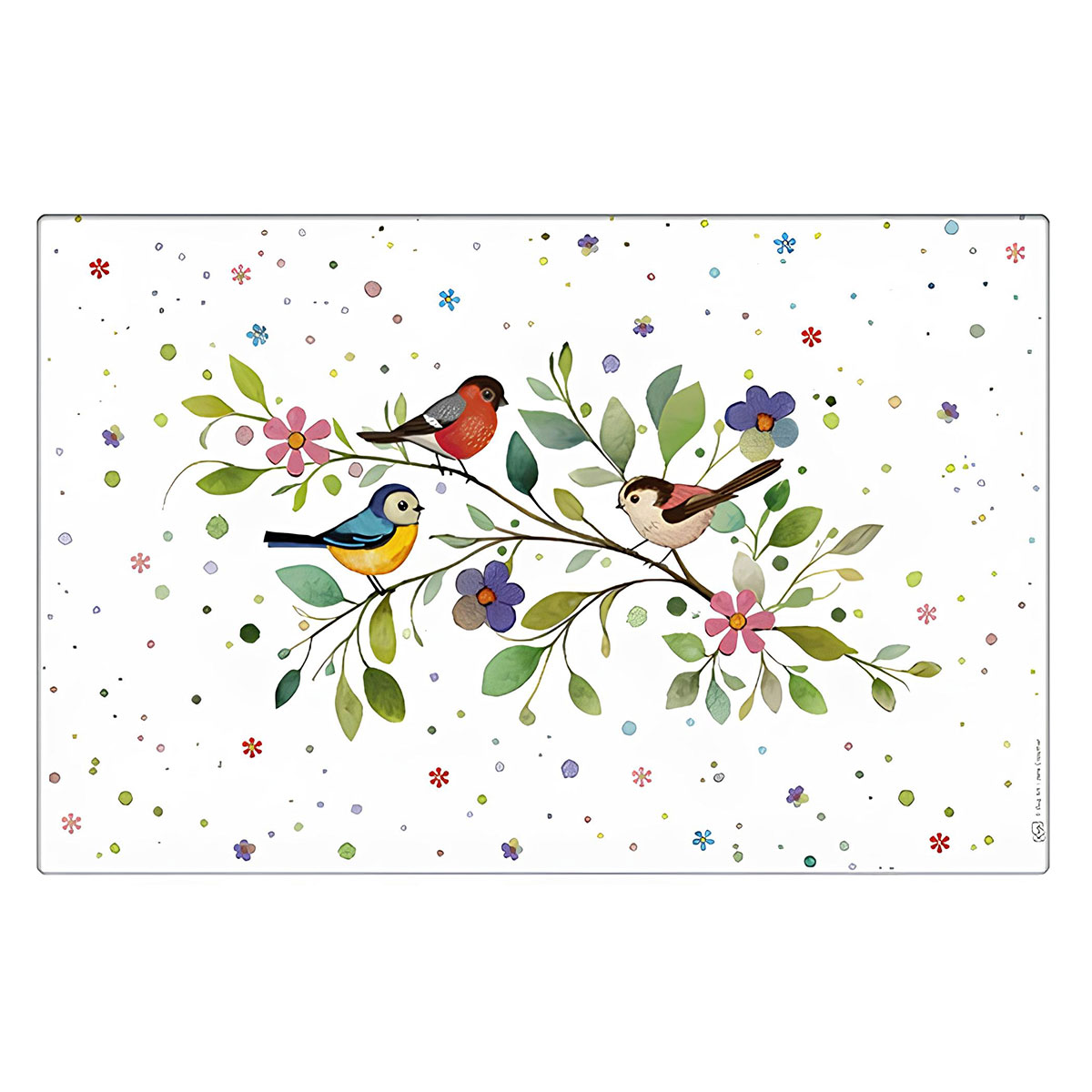 Set de table oiseaux colors