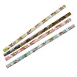 Crayon  papier Diddl