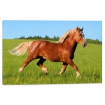 Cadre cheval galopant dans l'herbe 60 x 40 cm