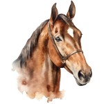 Sticker Dcoration Murale - Buste de Cheval