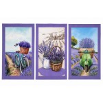 Lot de 3 torchons Provence lavande 50 x 70 cm en coton