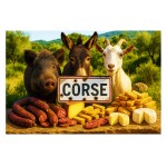 Plaque mtal Corse 30,5 x 20 cm