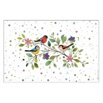 Set de table oiseaux colors