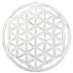 Dcoration Murale Fleur de Vie en Bois Blanc Patin  30 cm