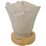 Lampe  Cristal de Roche Fleur de vie